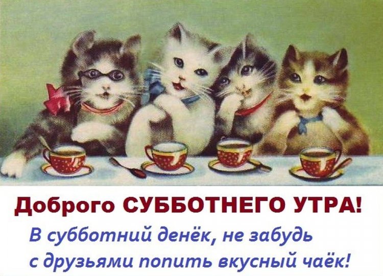 Прикольные и смешные картинки «Доброе утро субботы!» Прикольные и смешные картинки «Доброе утро субботы!»