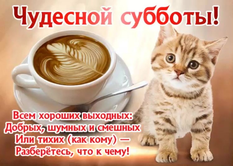Прикольные и смешные картинки «Доброе утро субботы!» Прикольные и смешные картинки «Доброе утро субботы!»