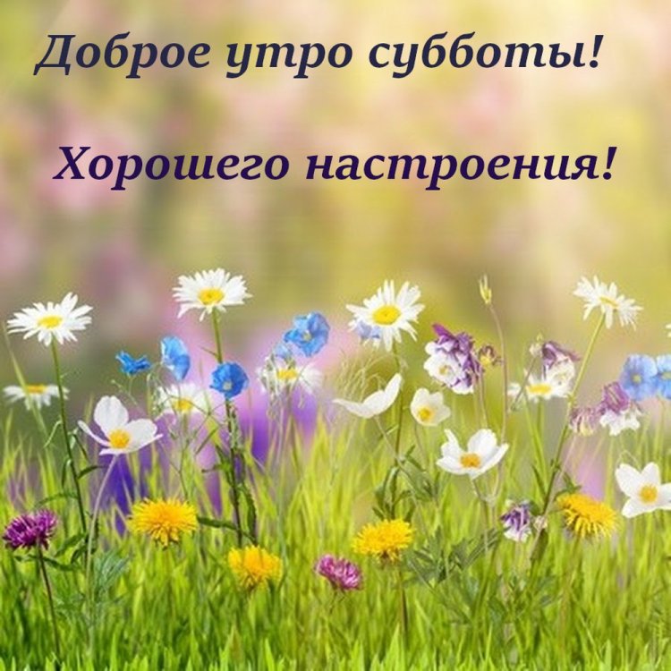 Красивые картинки «Доброе утро субботы!» Красивые картинки «Доброе утро субботы!»