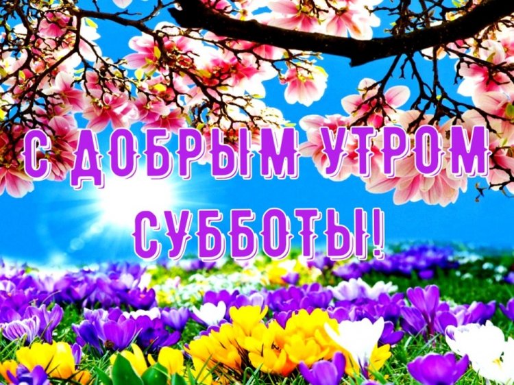 Картинки «Доброе утро субботы!» с пожеланиями 2026-2027: прикольные, красивые, нежные открытки
