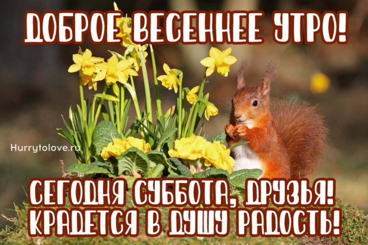 Картинки «Доброе весеннее утро субботы!» Картинки «Доброе весеннее утро субботы!»