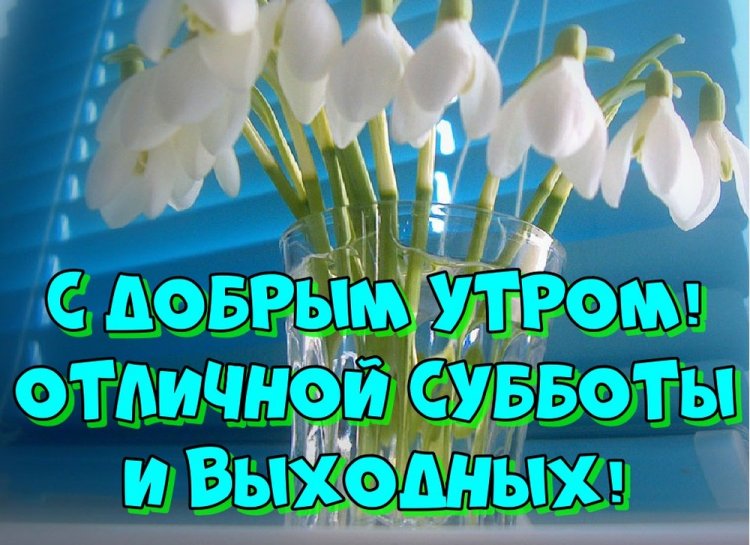 Картинки «Доброе весеннее утро субботы!» Картинки «Доброе весеннее утро субботы!»