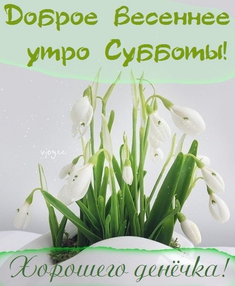 Картинки «Доброе весеннее утро субботы!» Картинки «Доброе весеннее утро субботы!»