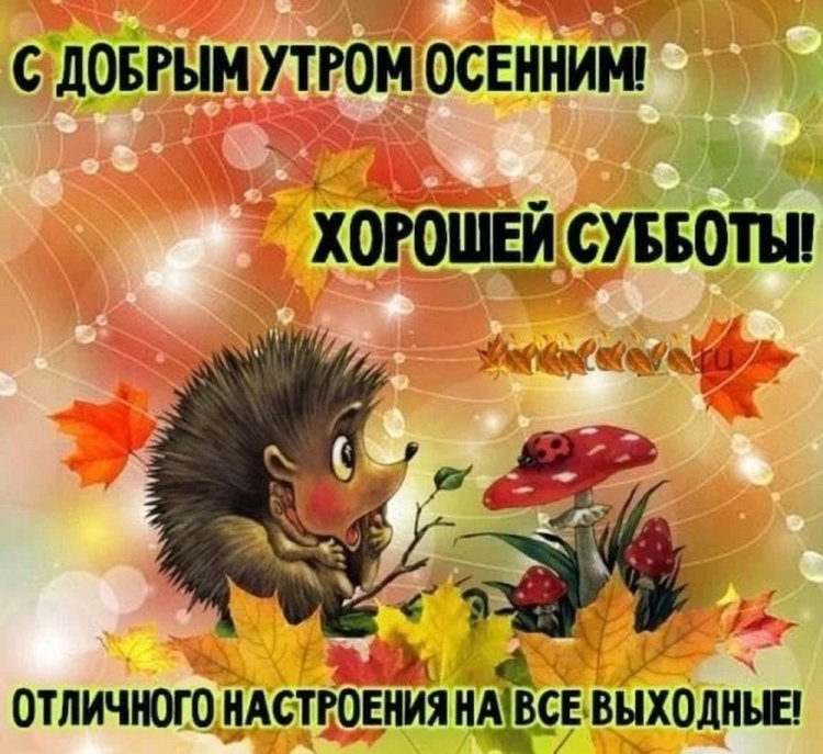 Картинки «Доброе осеннее утро субботы!» Картинки «Доброе осеннее утро субботы!»