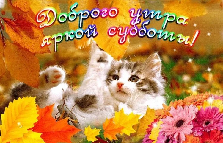 Картинки «Доброе осеннее утро субботы!» Картинки «Доброе осеннее утро субботы!»