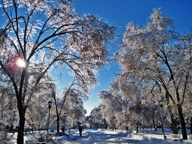 Зимний пейзаж в Волгограде