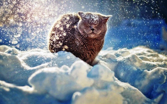 Народные приметы о зиме